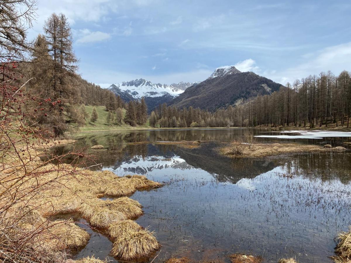 Les Granges D'Arvieux - Queyras - Appart 3Ch./6P. Экстерьер фото